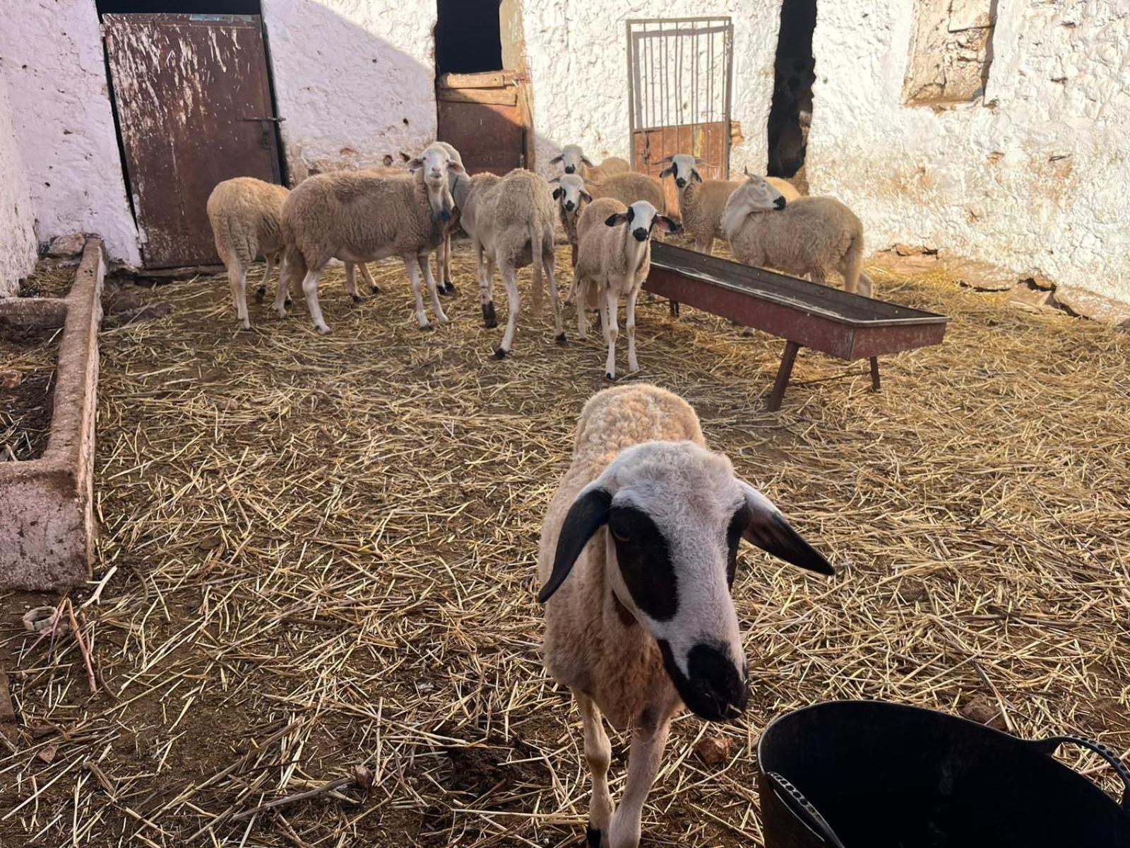Khaima Oulad Abbou Exterior foto